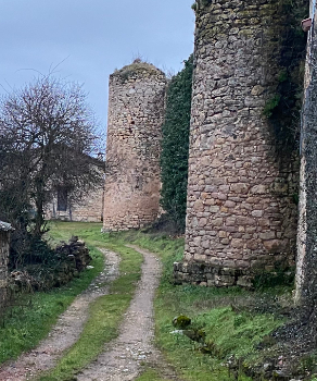 SIGÜENZA PEDANÍAS